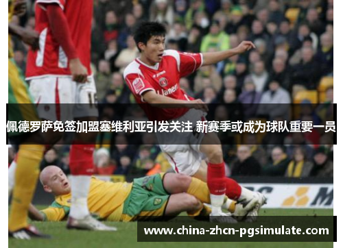 佩德罗萨免签加盟塞维利亚引发关注 新赛季或成为球队重要一员